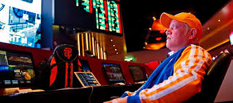 Как войти на сайт Casino 7Bit